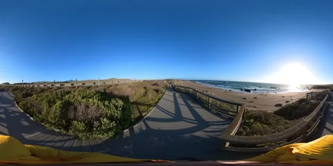 Big Sur Elephant Seals VR 360 POV Equirectangular 06 San Simeon California Coast 스톡 동영상 242084966