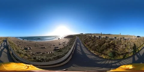 Big Sur Elephant Seals VR 360 POV Equirectangular 08 San Simeon California Coast 스톡 동영상 242087430