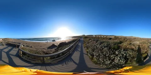 Big Sur Elephant Seals VR 360 POV Equirectangular 09 San Simeon California Coast Vidéo 242090183