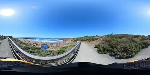 Big Sur Elephant Seals VR 360 POV Equirectangular 11 San Simeon California Coast 스톡 동영상 244452386