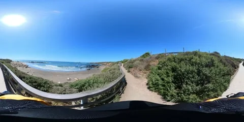 Big Sur Elephant Seals VR 360 POV Equirectangular 12 San Simeon California Coast 스톡 동영상 244452906