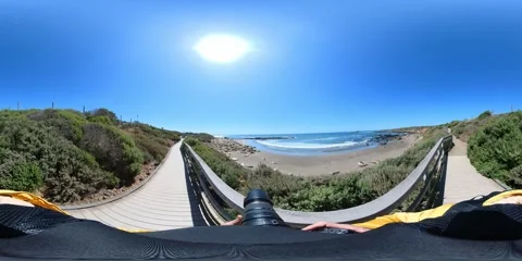 Big Sur Elephant Seals VR 360 POV Equirectangular 13 San Simeon California Coast 스톡 동영상 244453344