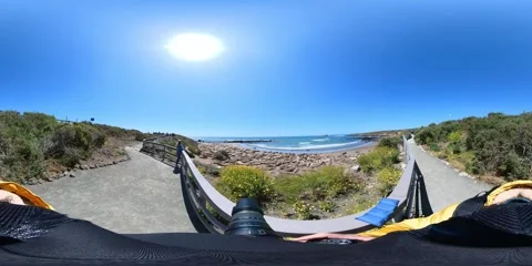 Big Sur Elephant Seals VR 360 POV Equirectangular 14 San Simeon California Coast 스톡 동영상 244453863