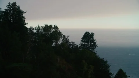 Big Sur forest trees are silhouetted against the Pacific Ocean at evening Stock Footage 93748068