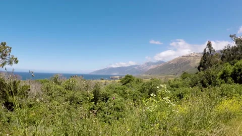 Big Sur Pacific Ocean View Stock Footage 130597948
