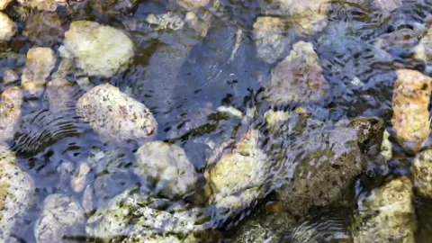 Big Sur River 1687 Video stock 165310719