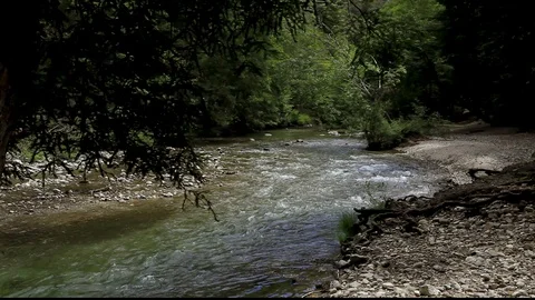 Big Sur River Rushing Video stock 104592843