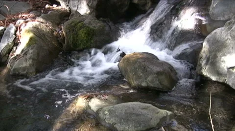 Big Sur Stream Stock Footage 44068346