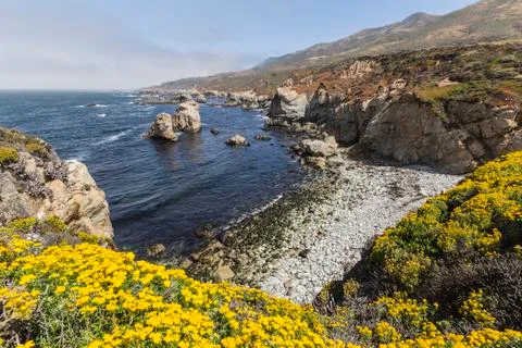 Big sur summer Stock Photos