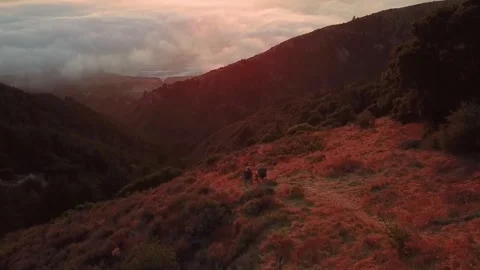 Big Sur Sunset Above Clouds | Campers | 2.7K Drone Footage Stock Footage 171347842