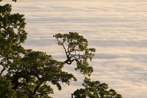 Big Sur - Timelapse - Ultra High Def Stock Footage 101448129