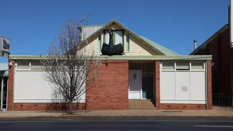 The Big Swan Video stock 249992850