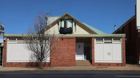 The Big Swan Stock-Footage 249992876