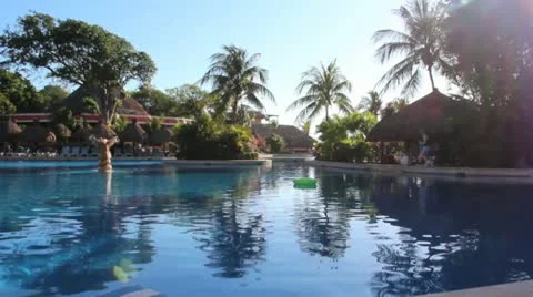 Big Swimming Pool with Palm Trees and Clear Sky Video stock 10890139
