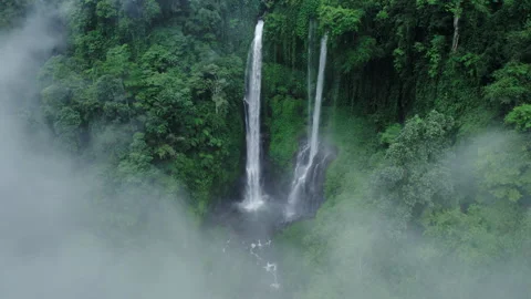 Big tall waterfall with two double powerful streams, jungle tropical scene Video stock 254877514