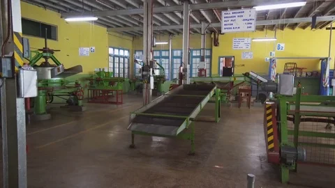 Big tea processing machines at a factory in Nuwara Eliya. Stock Footage 77654318