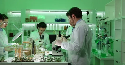 Big Team of Young Biologists Analyzing Plants Seeds Scientists Talk Laboratory Stock Footage