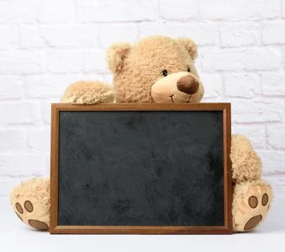 Big teddy bear holding empty rectangular wooden frame against white wall back Stock Photos