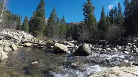 Big Thompson River 1 Vídeo Stock 310814925