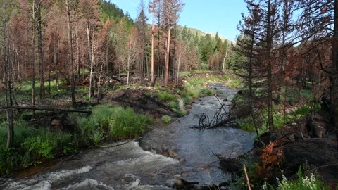 Big Thompson River flowing hard summer time Stock Footage 157077655