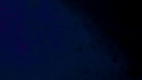 Big toad frog jumps on the ground at night, thermal vision view Stock Footage 224526749