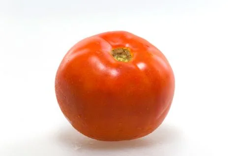 Big tomato 스톡 사진