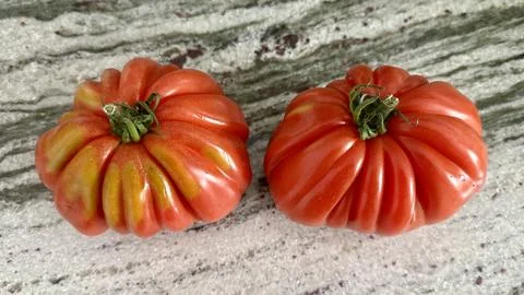 Big Tomatoes Stock Photos