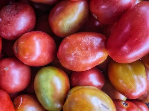Big tomatos Stock Photos