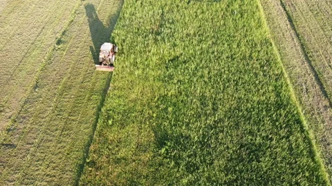 Big tractor with mowers mows the grass for silage farmer works in the meadows Stock-Footage 130223473