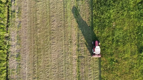 Big tractor with mowers mows the grass for silage farmer works in the meadows Stock Footage 130294603