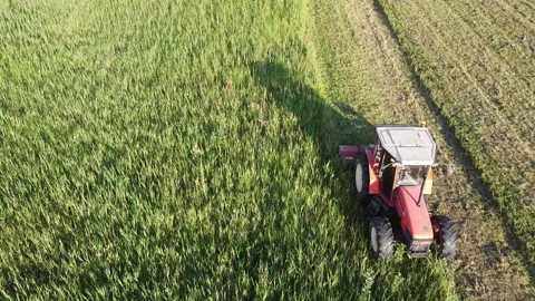 Big tractor with mowers mows the grass for silage farmer works in the meadows Stock-Footage 130359679