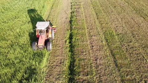 Big tractor with mowers mows the grass for silage farmer works in the meadows Stock-Footage 130694082