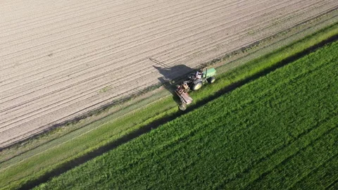 Big tractor with mowers mows the grass for silage farmer works in the meadows Видео 154067375