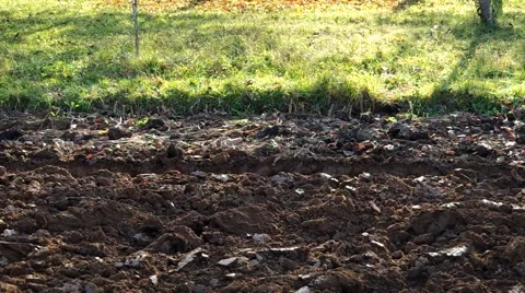 Big tractor plowing land in fall Stock Footage 57300480