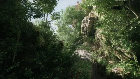 Big Tree In The Amazon Forest Stock-Footage 259619687