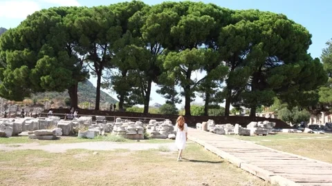 Big tree and visitors in the Ancient City of Ephesus Stock Footage 252101449