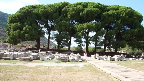 Big tree and visitors in the Ancient City of Ephesus Stock Footage 252101450