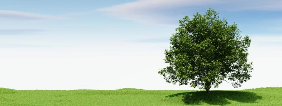 Big tree with blue sky background. Nature and landscape concept. 3D illustr.. Stock Illustration