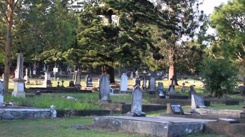 Big Tree in cemetery Stock Footage 35581155