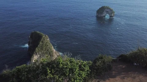 Big Tree on Cliff Edge with Beautiful Cliffs in Ocean [Drone Footage] Stock Footage 96295354
