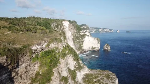 Big Tree on Cliff Edge with Beautiful Cliffs in Ocean [Drone Footage] Stock Footage 96295478