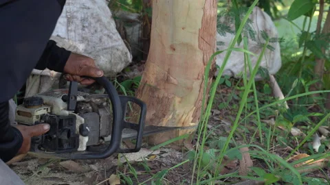 Big tree cutting by electric wood cutting machine, close up hand worker Stock-Footage 158488521