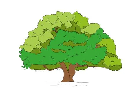 Big tree drawing color, vector, Stock Illustration