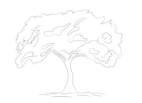 Big tree drawing lines, vector Stock Illustration