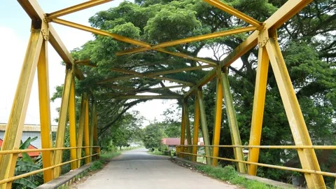 Big tree framed yellow bridge 4K Stock Footage 153361476