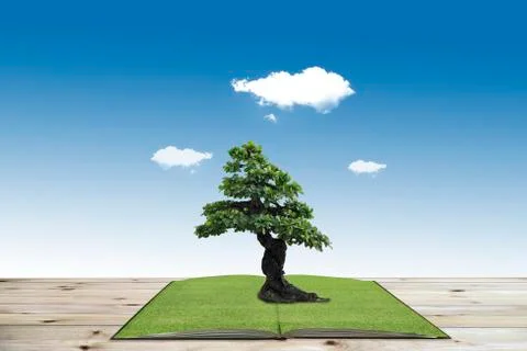 The big tree growing from a book. Stock Photos