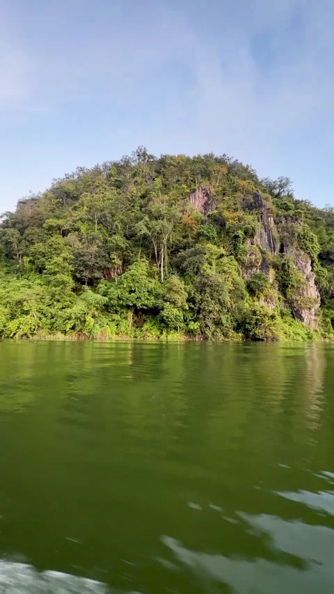 Big tree grows in the middle of the river. Stock Footage 320036198