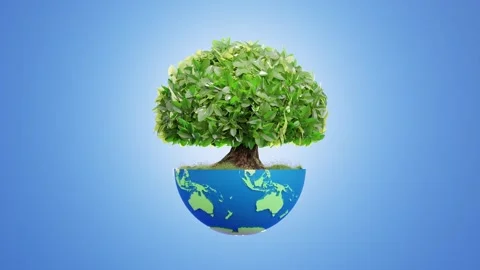 Big tree on half globe on blue background. 스톡 동영상 245132836