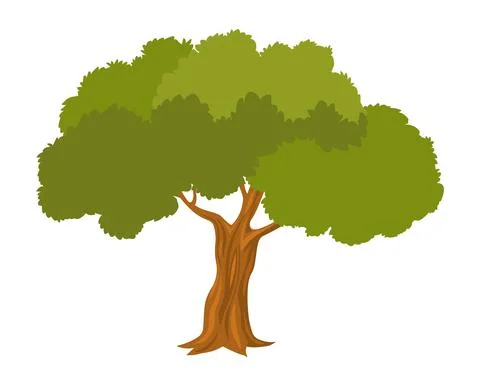 Big tree illustration Stock Illustration