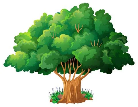 Big tree isolated cartoon Stock Illustration